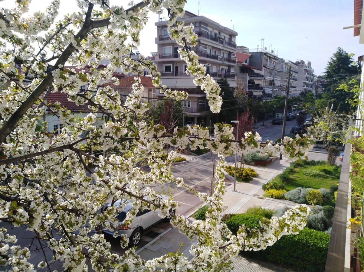Hotel Olympia Edessa Esterno foto